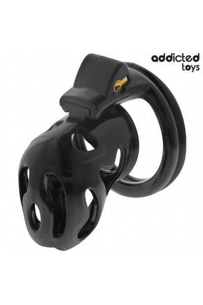 Gabbia fallica Sealed Krypt