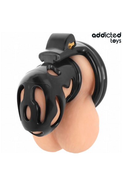 Gabbia fallica Sealed Krypt