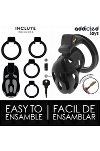 Gabbia fallica Sealed Krypt